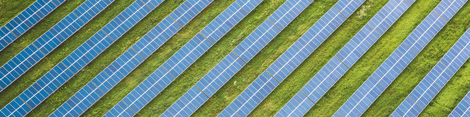 Förderung Photovoltaik: Welche Möglichkeiten gibt es? 