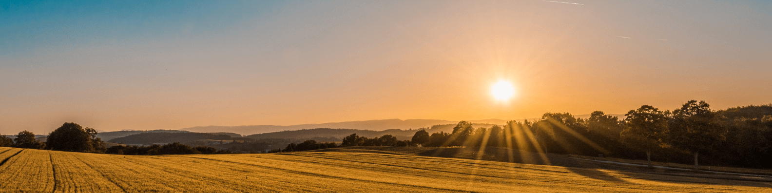 Deutsche-Bundesstiftung-Umwelt, welche Förderungen gibt's?