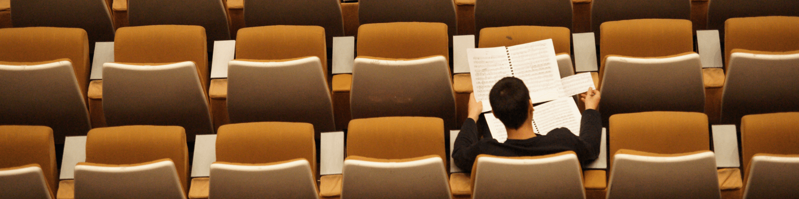 Wie fördert die Friedrich-Naumann-Stiftung Studierende?